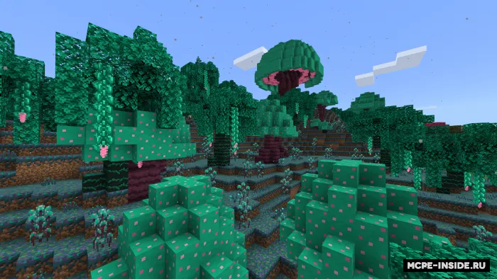 Sof xayoliy dunyo — Minecraft mod, rasm 2