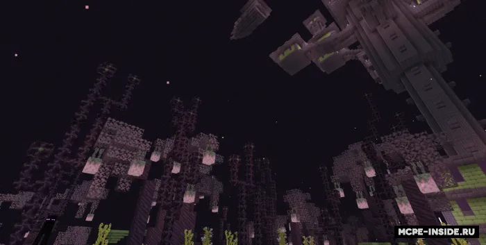 O'lchamlar yangilanishi: Cheksiz End — Minecraft mod, rasm 2