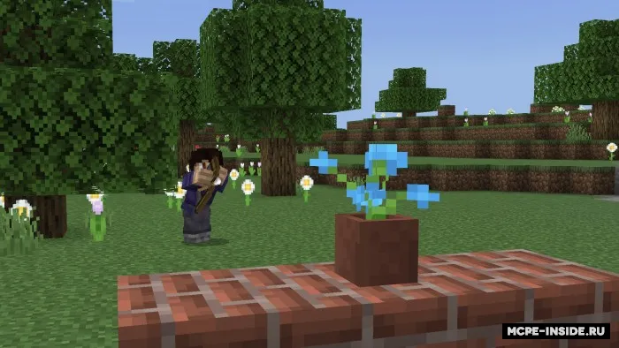 Qiruvchi — Minecraft mod, rasm 1