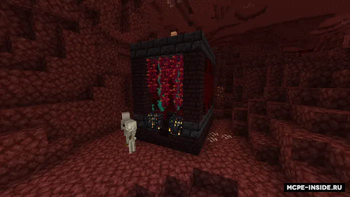 Nether va mavjudotlar kengaytmasi — Minecraft mod, rasm 2