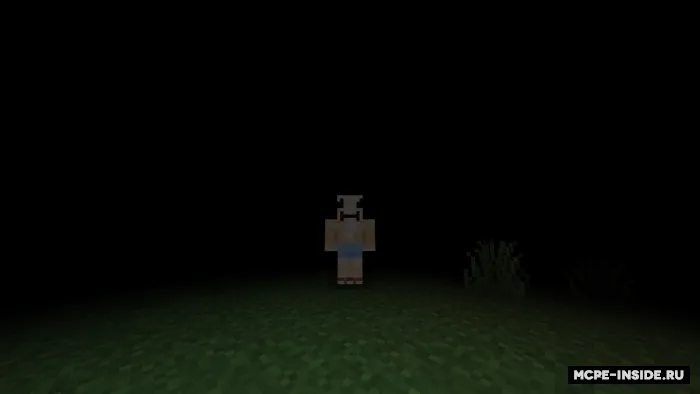 Ko'rlik — Minecraft mod, rasm 1