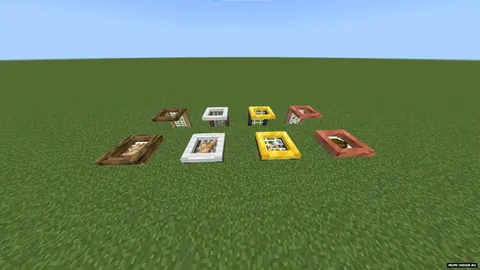 Baliq to'rlari
