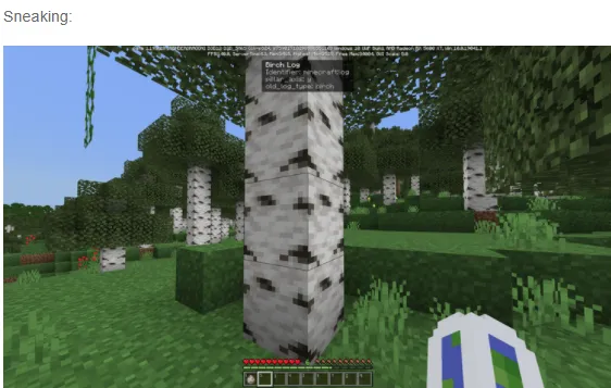 Nizmaga qarayapman? — Minecraft mod, rasm 3