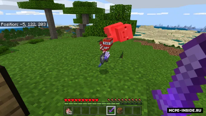 Cho'chqalardan mega buyumlar tushadi — Minecraft mod, rasm 1