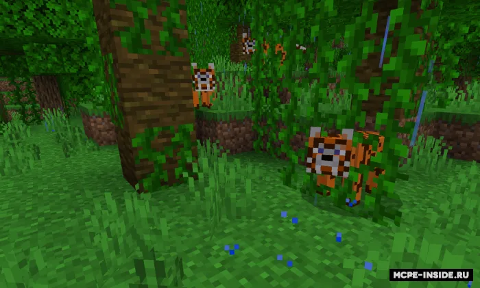 Ashton moblari — Minecraft mod, rasm 1