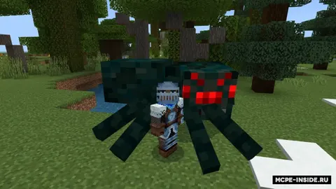 Bagrok