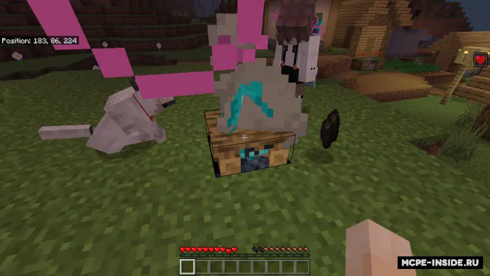 Davolovchi gulxan — Minecraft mod, rasm 1