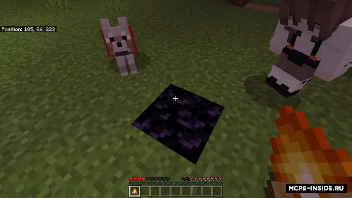 Davolovchi gulxan — Minecraft mod, rasm 2