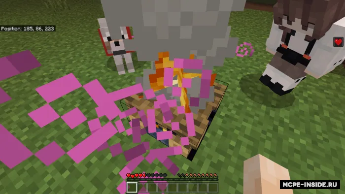 Davolovchi gulxan — Minecraft mod, rasm 3