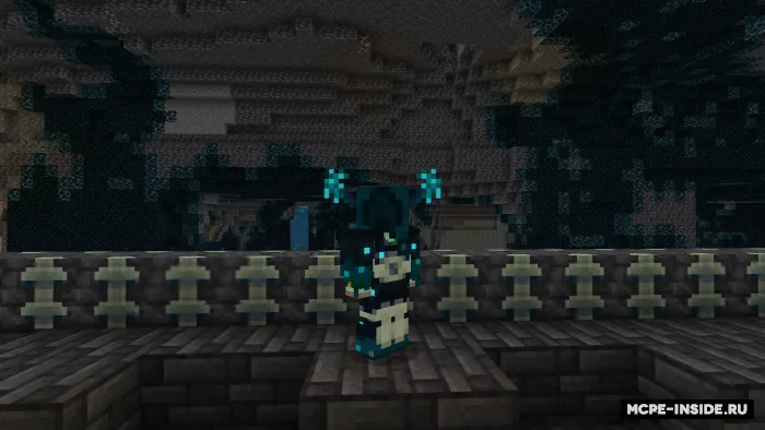 Haqiqiy Warden zirhi — Minecraft mod, rasm 2
