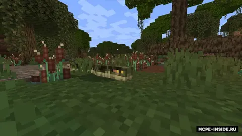 Sehrli botqoqliklar