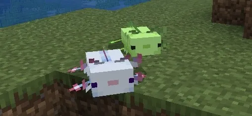 Yashil aksolotl — Minecraft mod, rasm 2