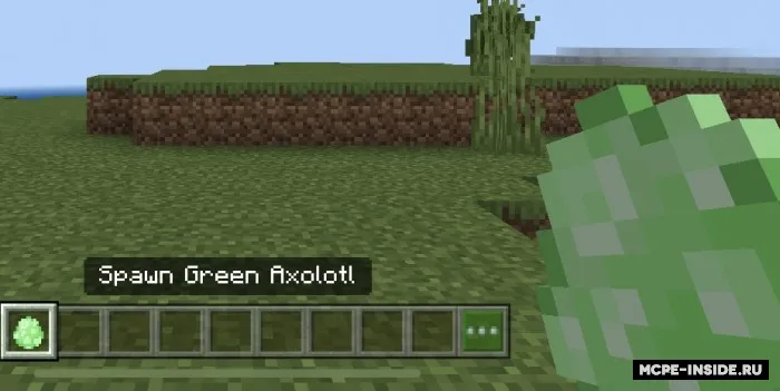 Yashil aksolotl — Minecraft mod, rasm 3