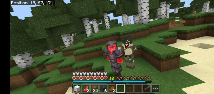 Zombi-buzg'unchi — Minecraft mod, rasm 3