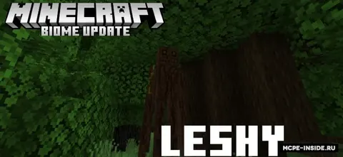 Biome Update