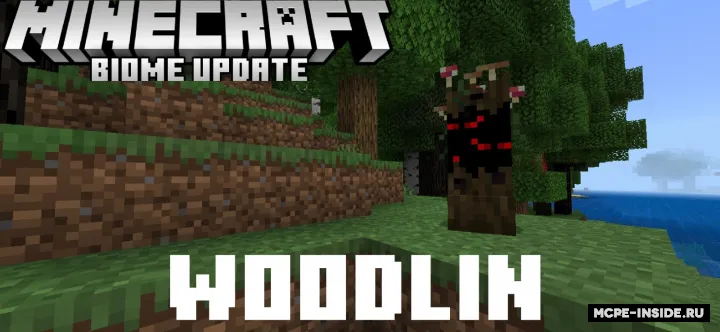 Biome Update — Minecraft mod, rasm 2