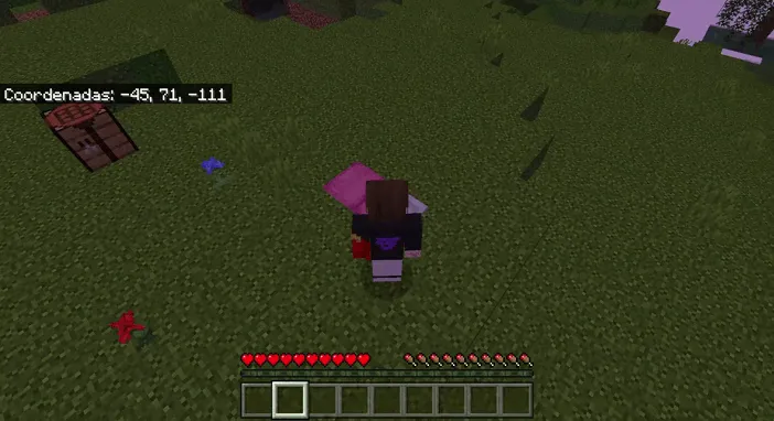 Uxlash qopchasi — Minecraft mod, rasm 2