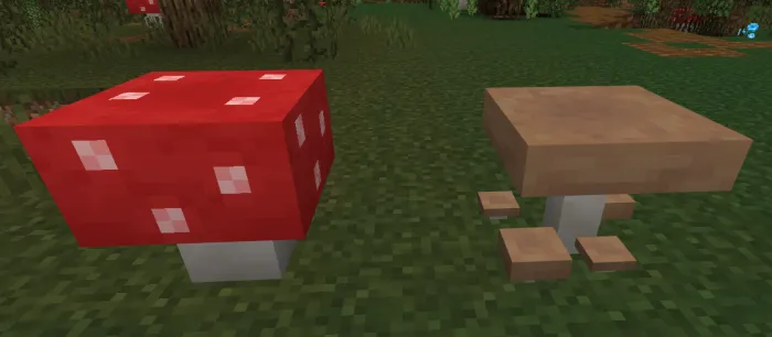 Botqoqlik kengaytmasi — Minecraft mod, rasm 2