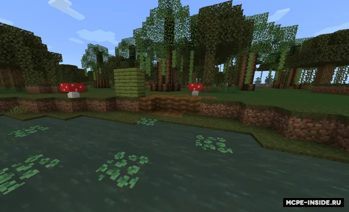 Botqoqlik kengaytmasi — Minecraft mod, rasm 3