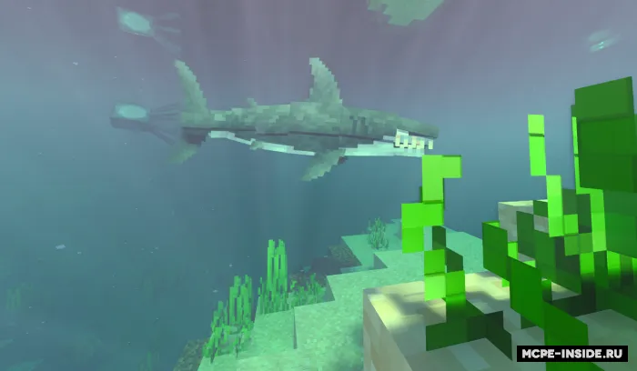 Akula — Minecraft mod, rasm 1