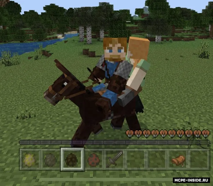 Ikki kishilik yurish — Minecraft mod, rasm 2