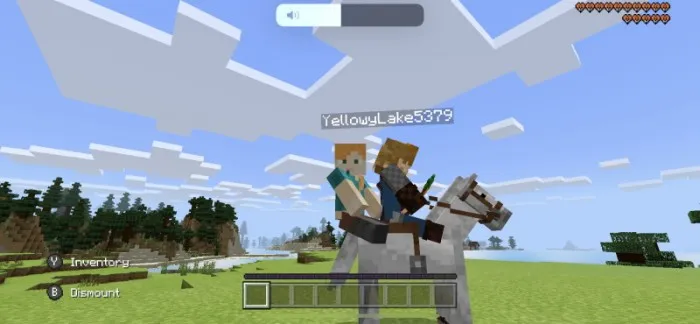Ikki kishilik yurish — Minecraft mod, rasm 4