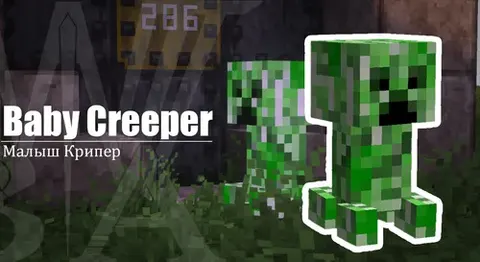Baby Creeper - Chaqaloq Creeper