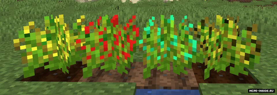 Vegetarian yo'li — Minecraft mod, rasm 3