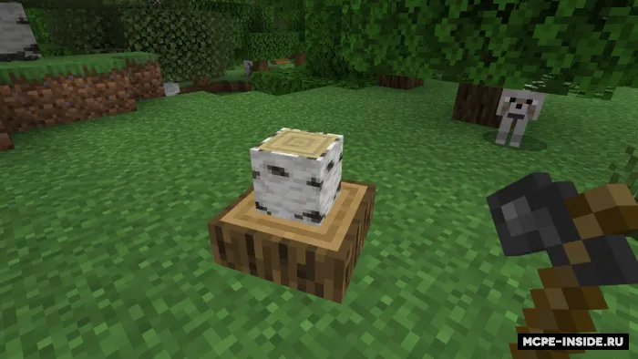 Asrlar evolyutsiyasi — Minecraft mod, rasm 2