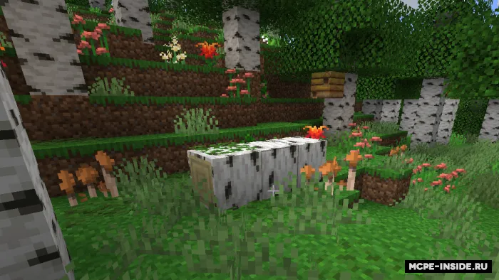 Biomlar modernizatsiyasi — Minecraft mod, rasm 1