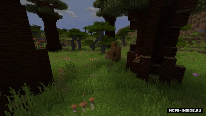 Biomlar modernizatsiyasi — Minecraft mod, rasm 3