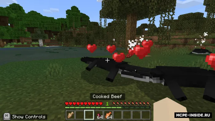Timsohlar va alligatorlar — Minecraft mod, rasm 3