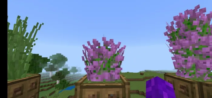 Ko'proq dekoratsiya — Minecraft mod, rasm 2