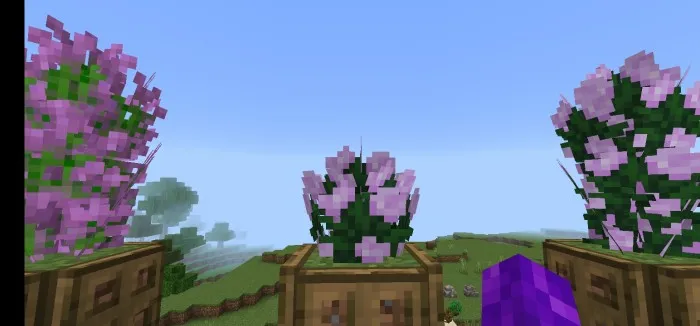 Ko'proq dekoratsiya — Minecraft mod, rasm 4