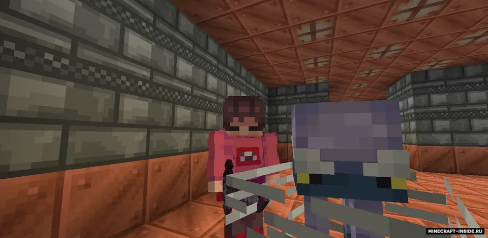 EarlyUpdate — Minecraft mod, rasm 5