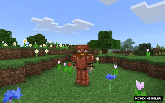 Mis funksiyalari — Minecraft mod, rasm 1