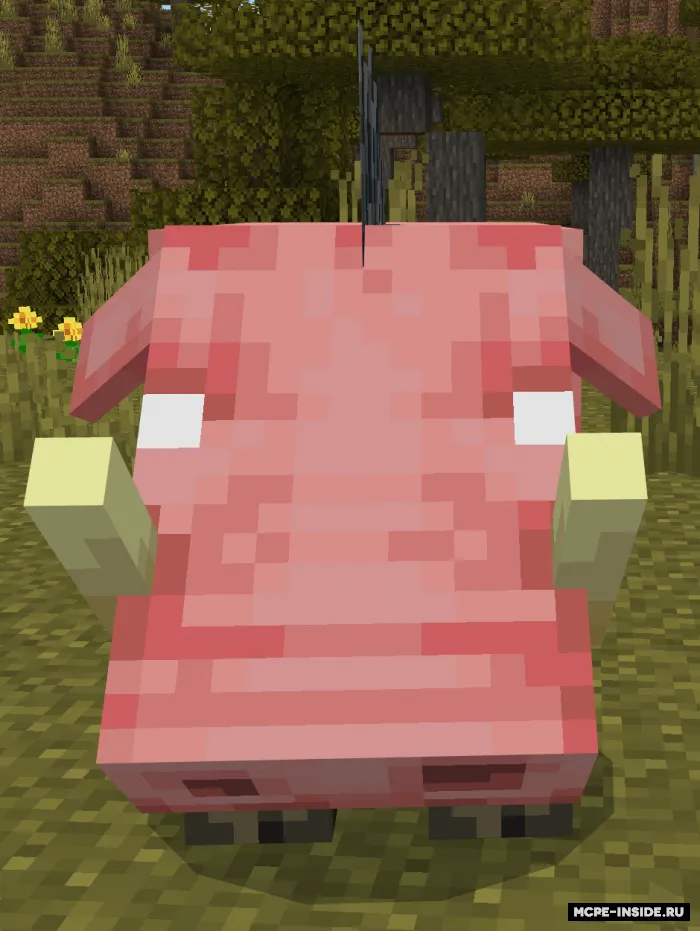 Ittifoqchi moblar — Minecraft mod, rasm 3