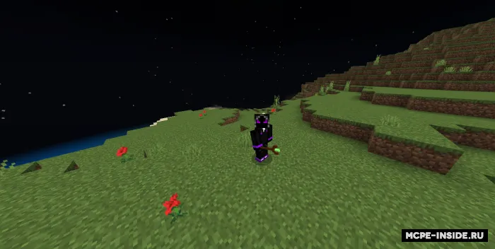Sehrli telbalik — Minecraft mod, rasm 1