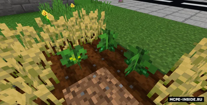 Qahva, choy va shlyapalar — Minecraft mod, rasm 2