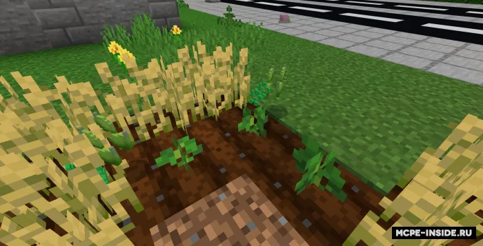Qahva, choy va shlyapalar — Minecraft mod, rasm 3