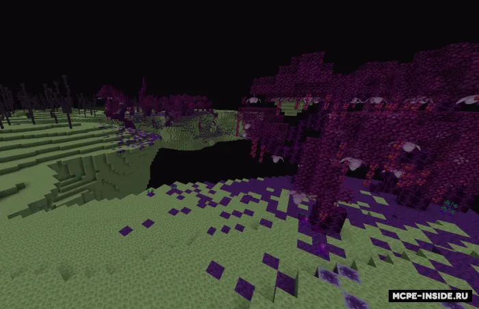End yangilanishi — Minecraft mod, rasm 1