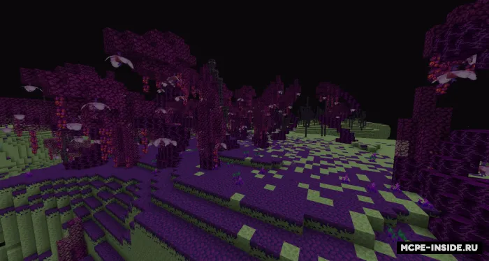 End yangilanishi — Minecraft mod, rasm 2