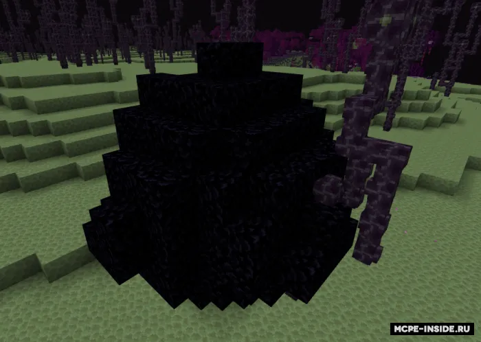 End yangilanishi — Minecraft mod, rasm 3