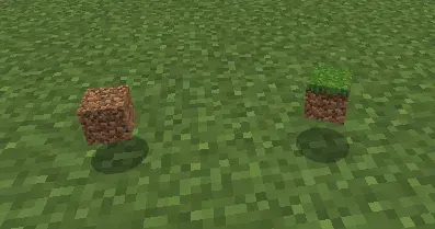Wither laglari yo'q