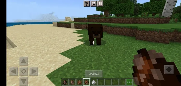 O'rmonlarni yaxshilash — Minecraft mod, rasm 1