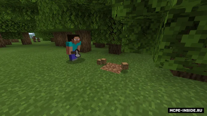 Tez konchi — Minecraft mod, rasm 1