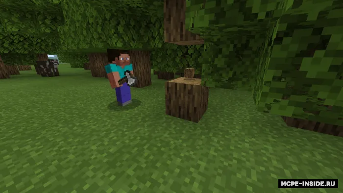 Tez konchi — Minecraft mod, rasm 2
