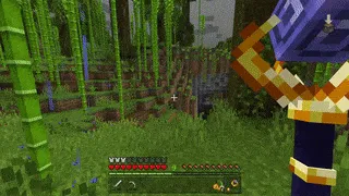 Onlayn hassa — Minecraft mod, rasm 3