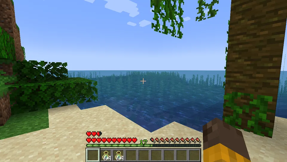 Level Is Health — Minecraft mod, rasm 4