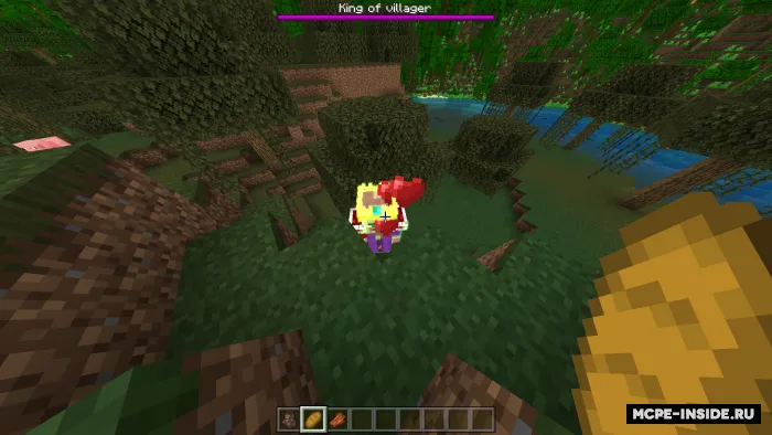 Qishloqliklar qiroli — Minecraft mod, rasm 1